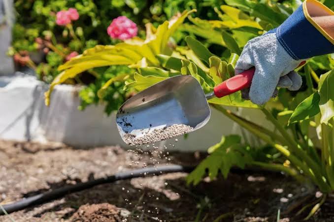 کربنات کلسیم در کشاورزی پودر معدنی مورد استفاده در اصلاح زمین‌های زراعی